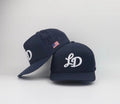 Golf Dad “LD” Hat