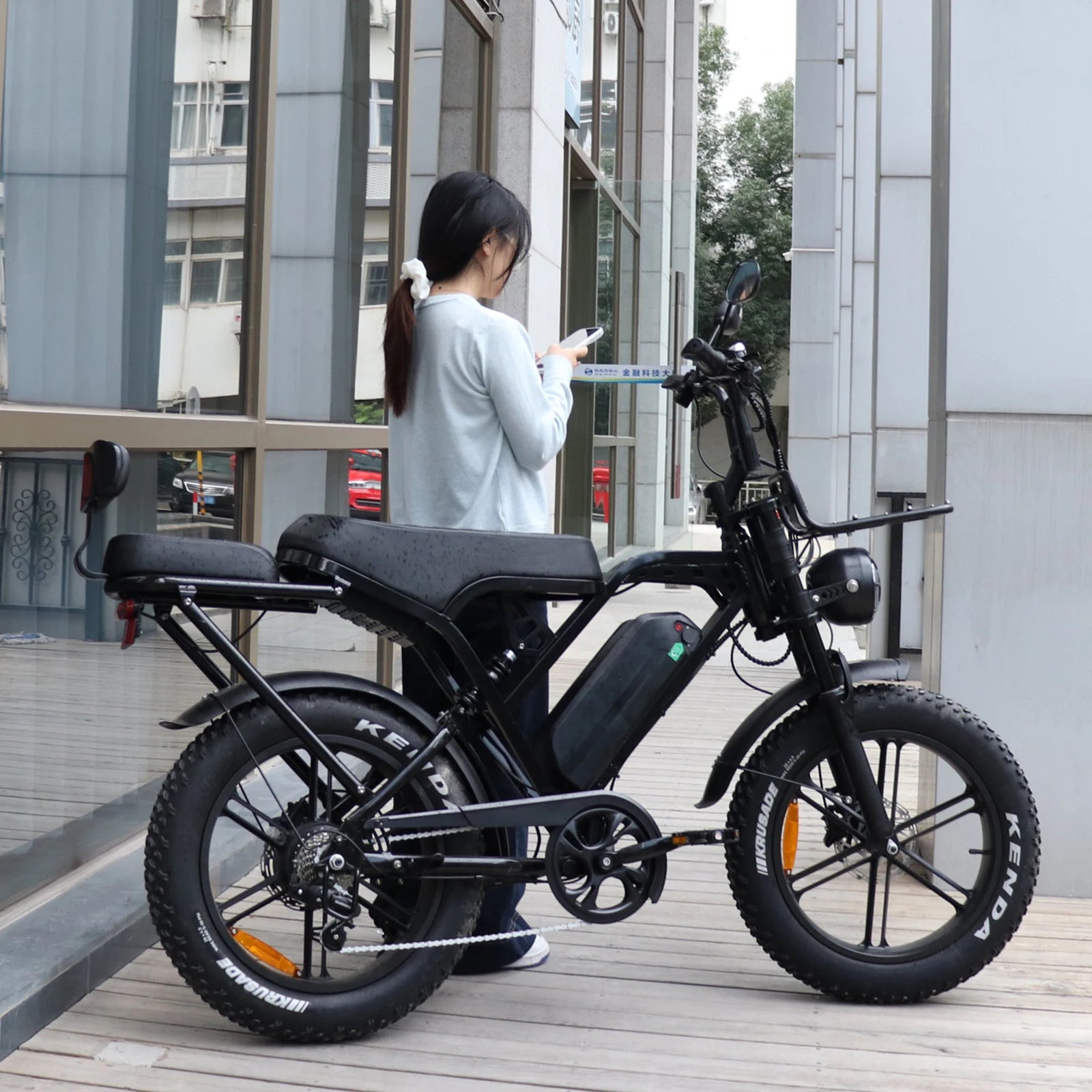VOMO X80 PRO Electric Dirt Bike Rear Hub Motor 250W Steel Frame Hydraulic Disc Brakes City E-Bike