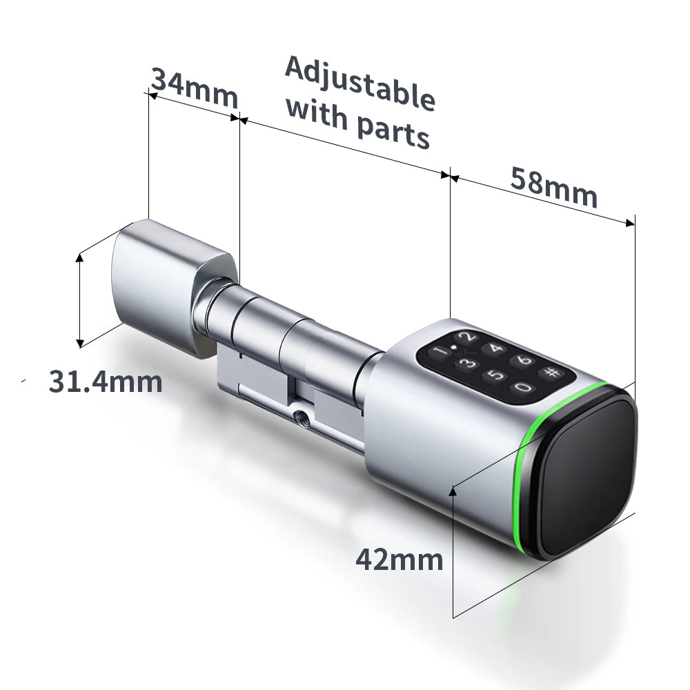 Easy Install Tuya Smart Cylinder Card Fingerprint  Application TTLock App  Old Lock Modify