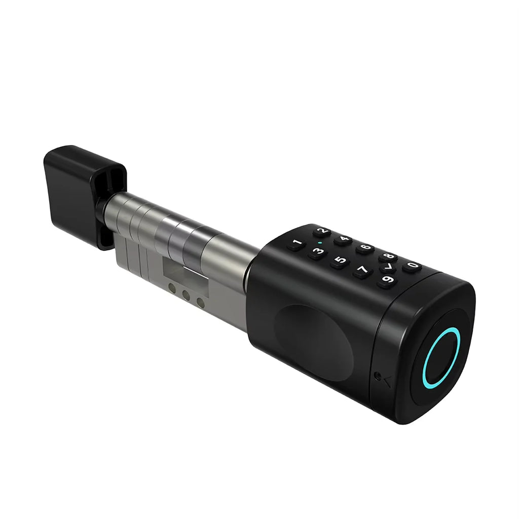 Easy Install Tuya Smart Cylinder Card Fingerprint  Application TTLock App  Old Lock Modify