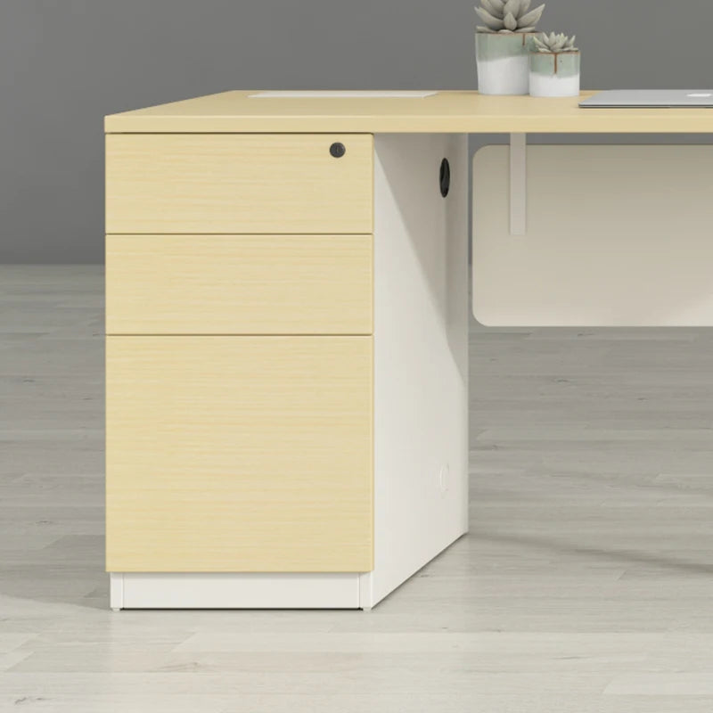 Modern Pc Laptop  Working Table Executive Office Desk With Cabinet Single Computer Desk for Office