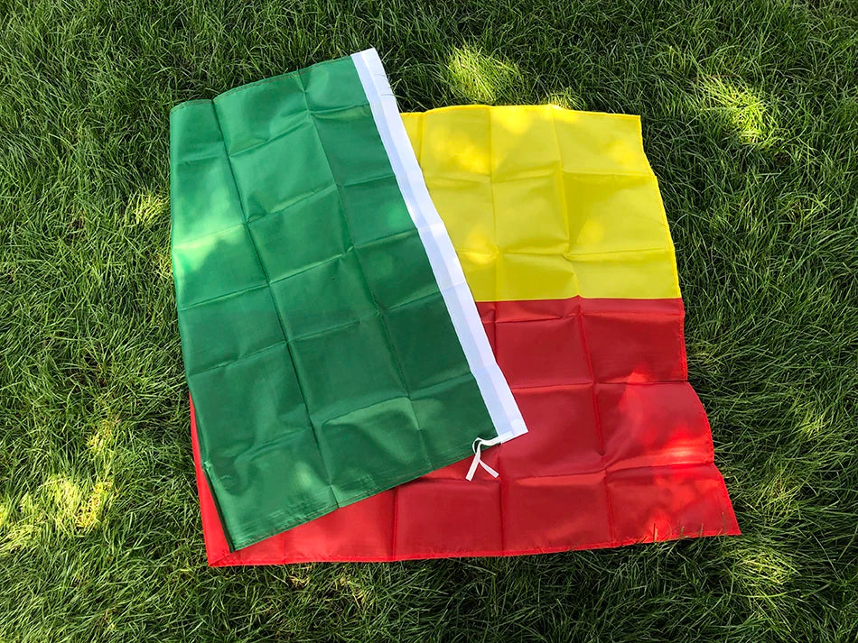 Benin national flag 90x150cm 3x5ft polyester hanging banner Benin flag for indoor outdoor home decoration