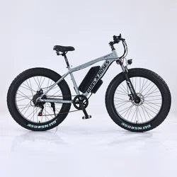 Off-road Mountain commuter E-bike 45 Mph Max Speed 24" Fat Tire Hydraulic Disc Brake Electric Bicycle