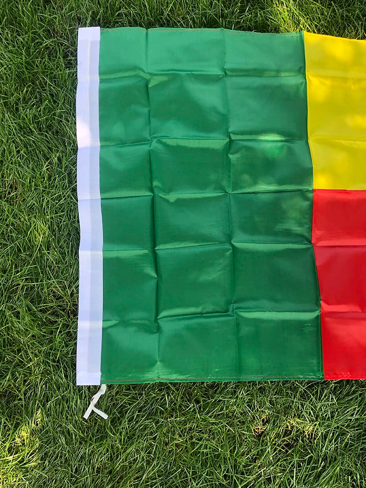 Benin national flag 90x150cm 3x5ft polyester hanging banner Benin flag for indoor outdoor home decoration