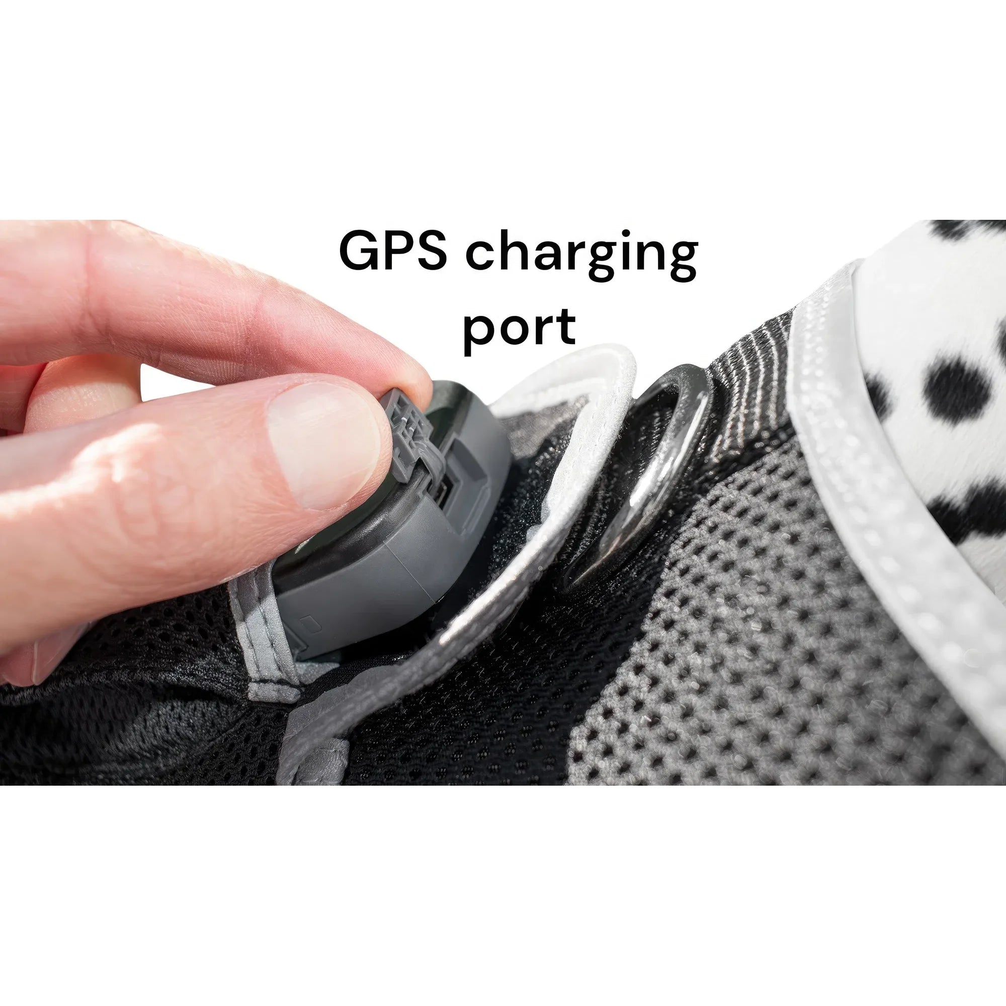Smart Activity Tracker Real-Time Android GPS Pet Tracker Motion Detect for Easy Pet Tracking Size:XS