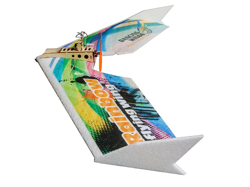 RC Plane EPP Airplane Model DW HOBBY Rainbow Fly Wing 800mm Wingspan Tail push version RC Airplane Kit