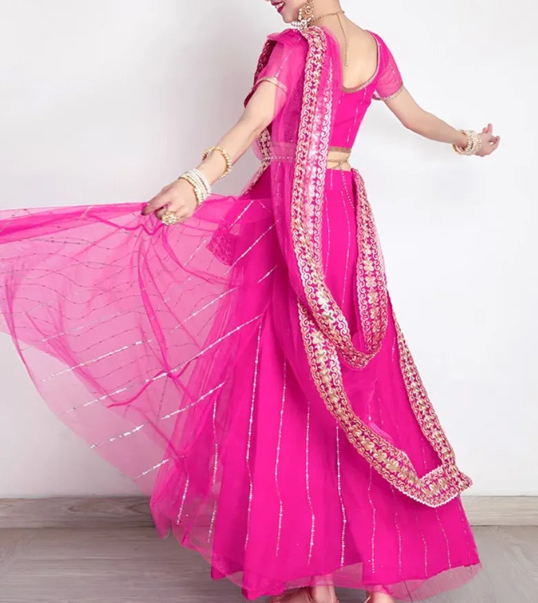 Indian Women's Dance Costume Sari Top Big Skirt