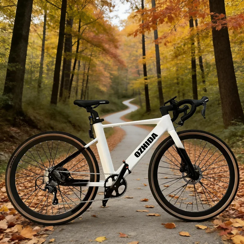 E-Bike 26-inch urban leisure riding 400W adult electric power-assisted bicycle 48V10Ah lithium battery electric pedal bicycle