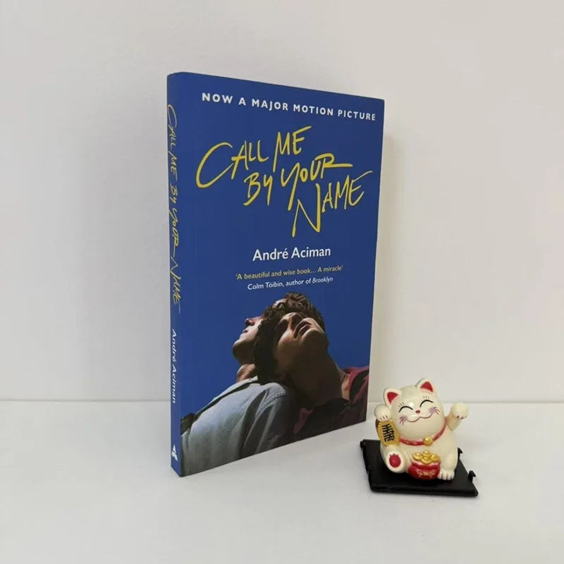 Books English Version Please Call Me By Your Name English Books Movie Book of The Same Name English Book