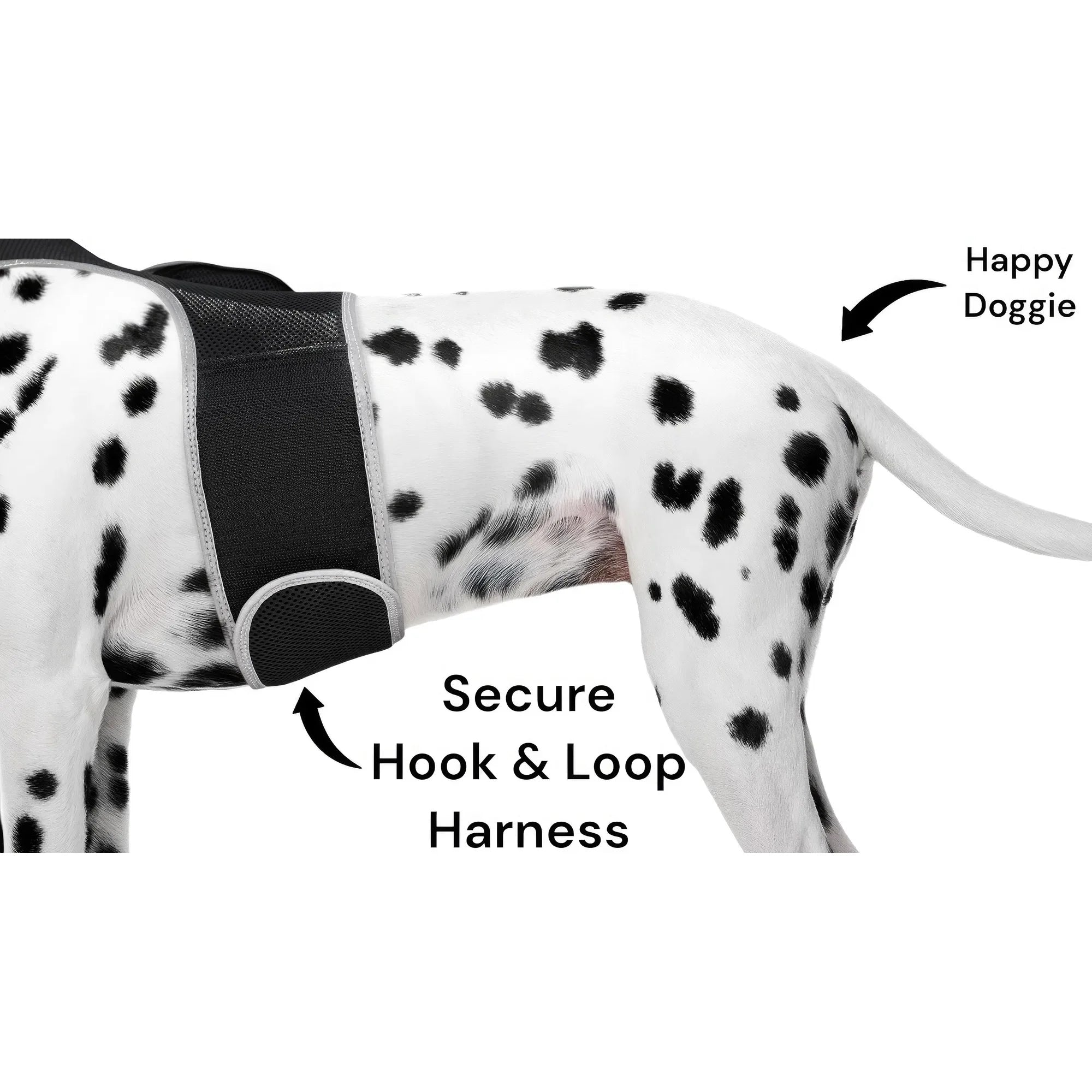 Smart Activity Tracker Real-Time Android GPS Pet Tracker Motion Detect for Easy Pet Tracking Size:XS