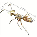Steampunk Bee 3D Metal Dragonfly spider Puzzle for Adults & Teens DIY Craft Set Gold Mechanical Insect Model Unique Gift Idea