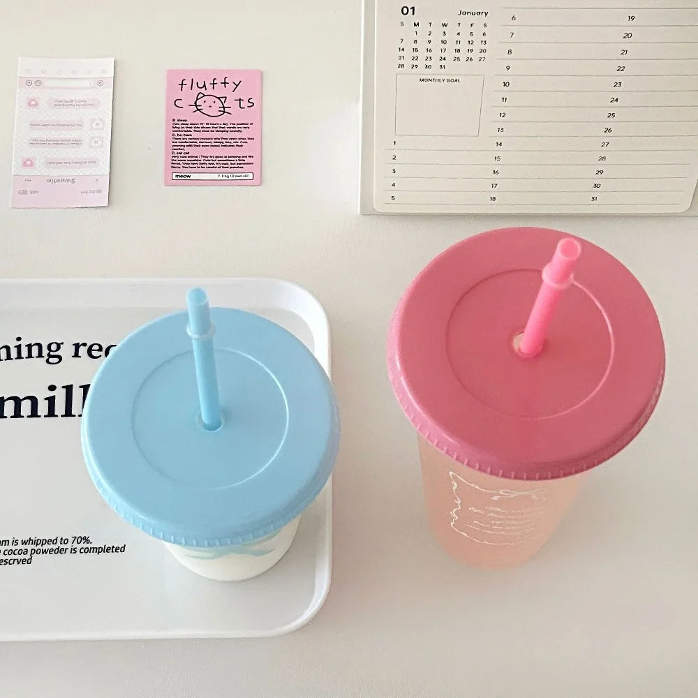 Kawaii 470/700ml Straw Cup with Lid Korean Water Bottle Plastic Reusable Drinking Bottles Coffee - Free Item.