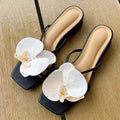 Women Sandals 2025 New Shallow Sandals Casual Fashionable High Quality Shoes for Women Elegant Flowers Designer Women Sandals