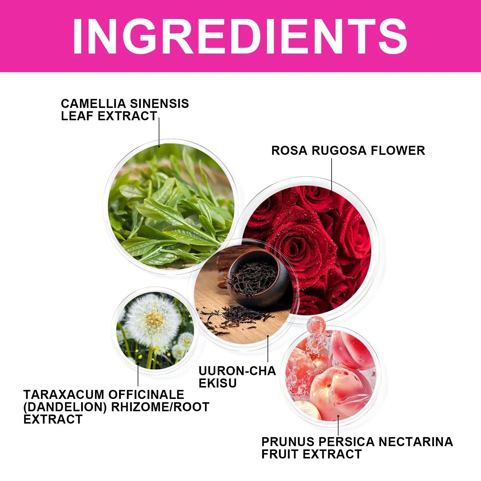 Wellness Green Tea - Natural Shape Supporting, Body Toning, Women’s Daily Brew, Office & Travel Essential